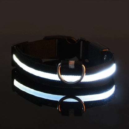 LED Luminous Dog Leash