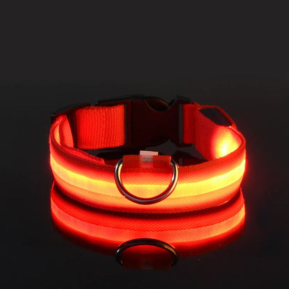 LED Luminous Dog Leash
