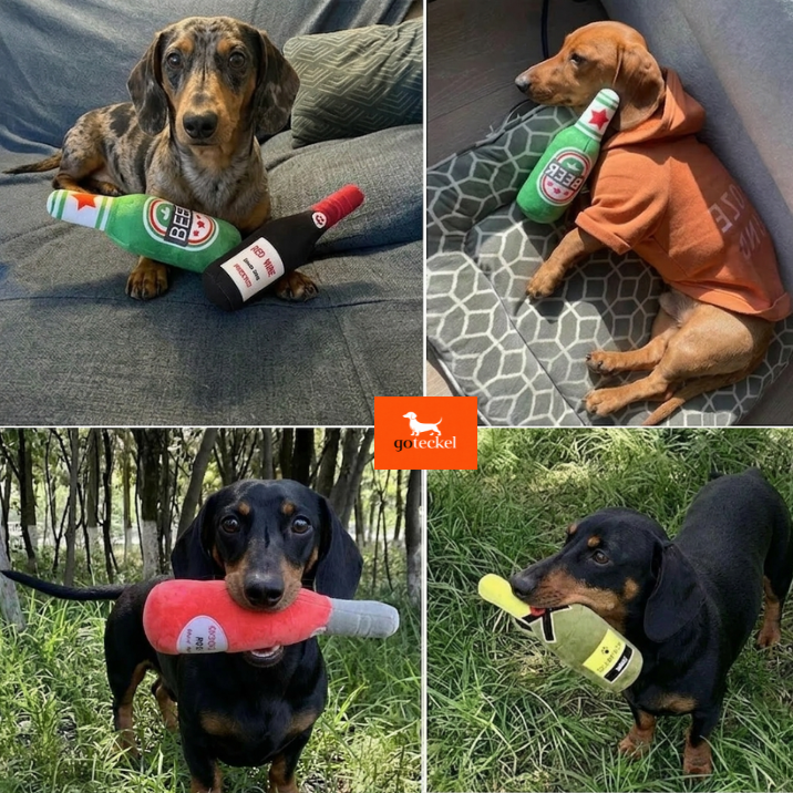 Bottle Dog Toy Design
