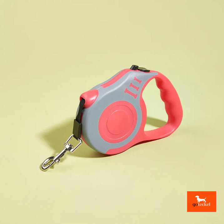 Automatic Dog Leash Automatic 