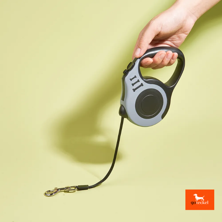 Automatic Dog Leash Automatic 