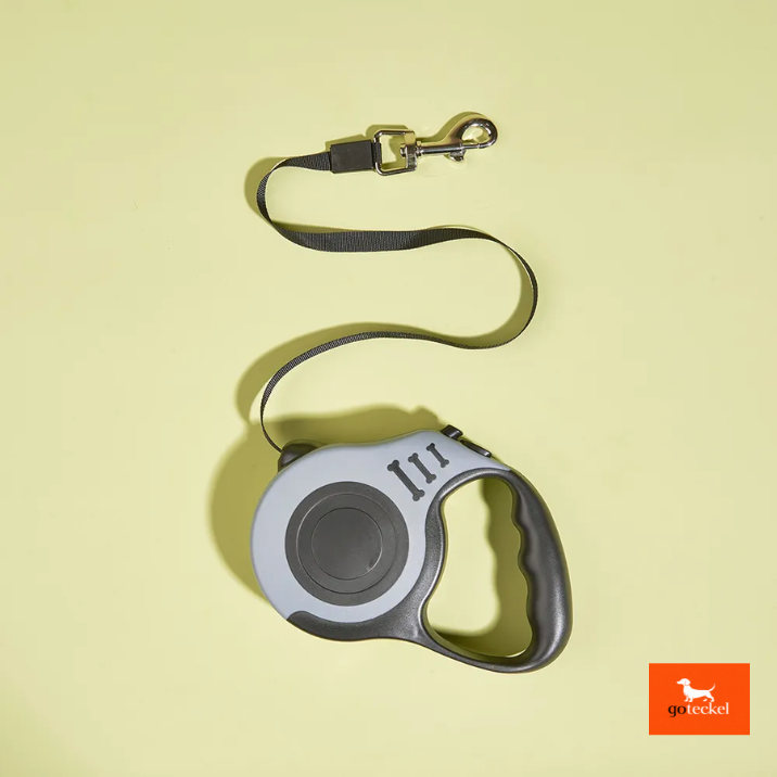 Automatic Dog Leash Automatic 