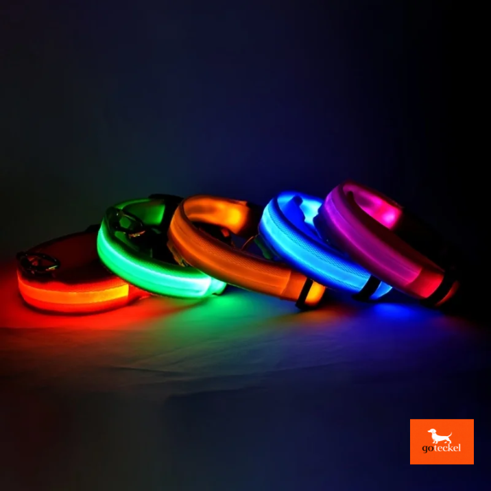 LED Luminous Dog Leash