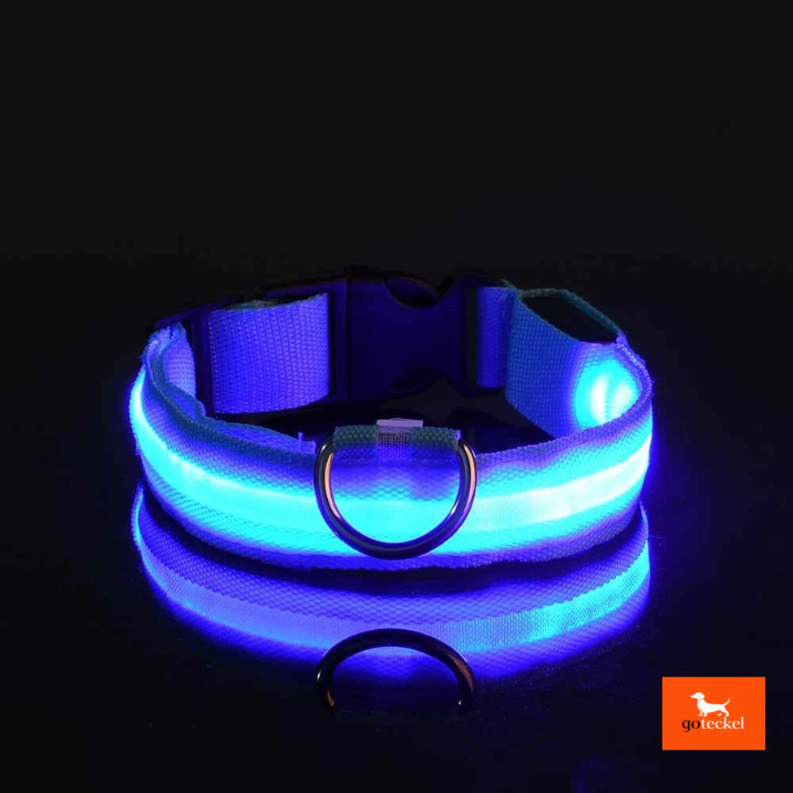 LED Luminous Dog Leash
