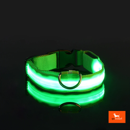 LED Luminous Dog Leash