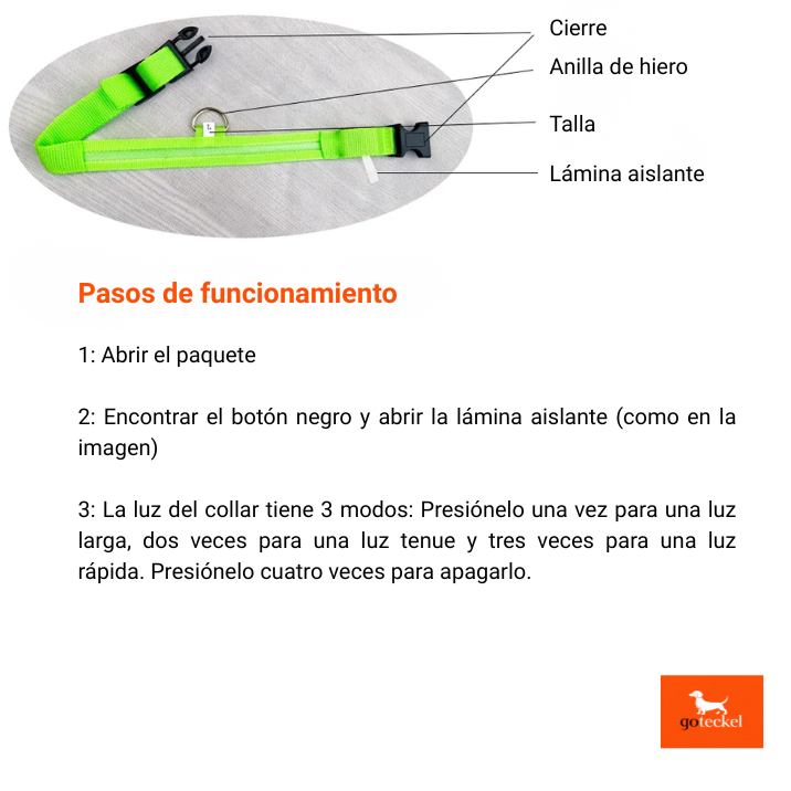 LED Luminous Dog Leash