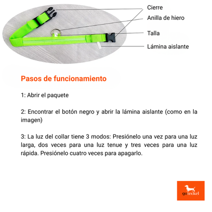 LED Luminous Dog Leash