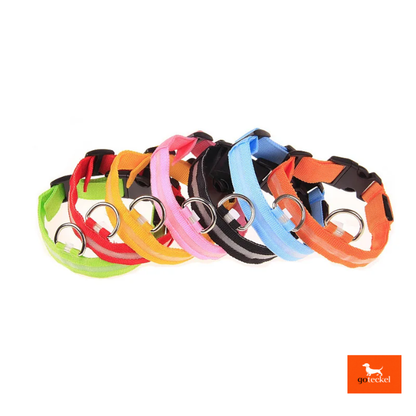 LED Luminous Dog Leash