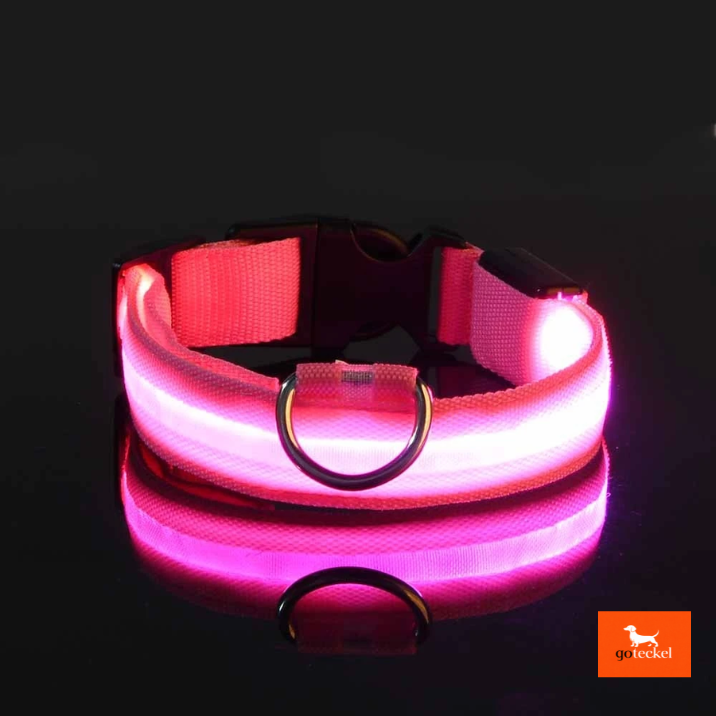LED Luminous Dog Leash