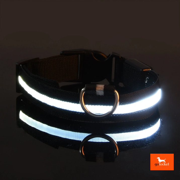 LED Luminous Dog Leash