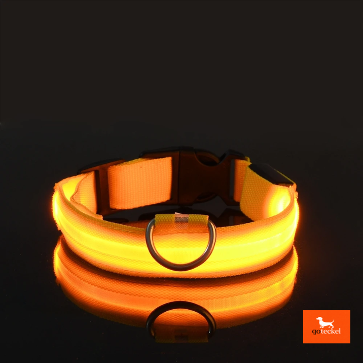 LED Luminous Dog Leash