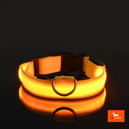 LED Luminous Dog Leash