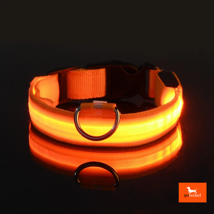 LED Luminous Dog Leash