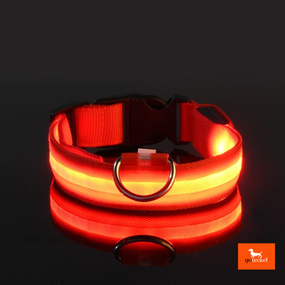 LED Luminous Dog Leash