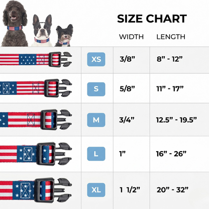 American Flag Dog Collar 