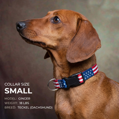 American Flag Dog Collar 