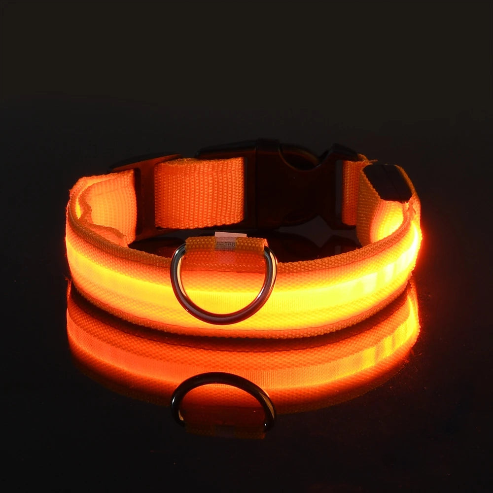 LED Luminous Dog Leash