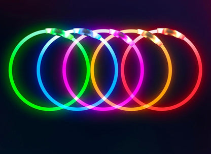 Light up Dog Leash