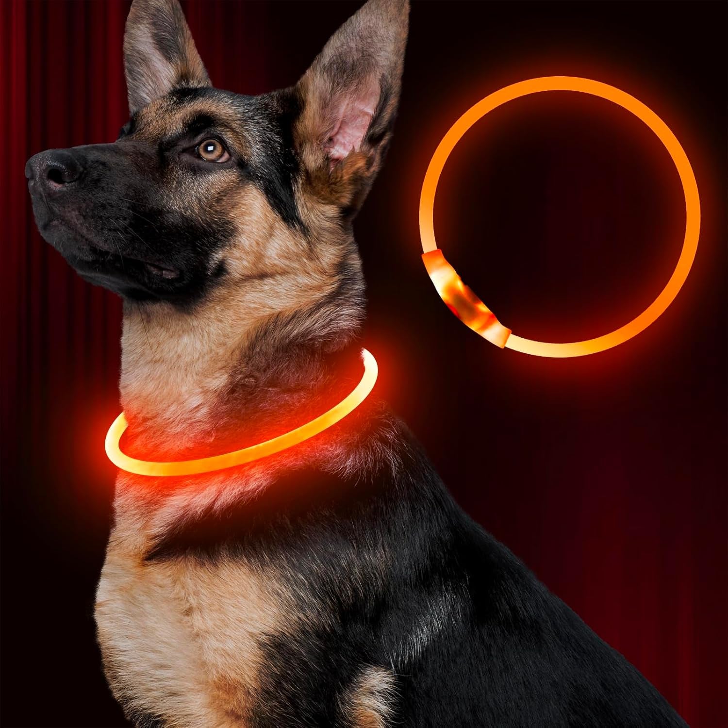 Light up Dog Leash