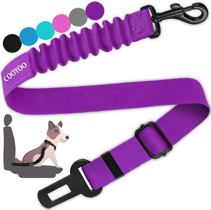 Dog Seat Belt