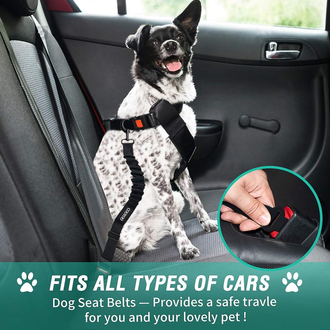 Dog Seat Belt