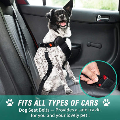 Dog Seat Belt