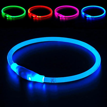Light up Dog Leash