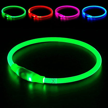 Light up Dog Leash