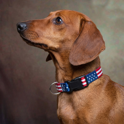 American Flag Dog Collar