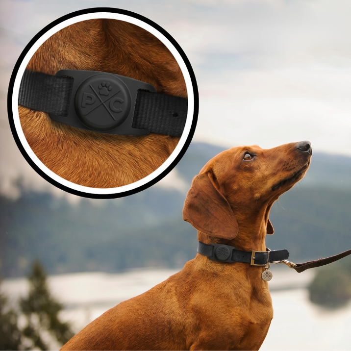 Airtag Dog Collar
