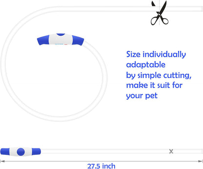 Light up Dog Leash