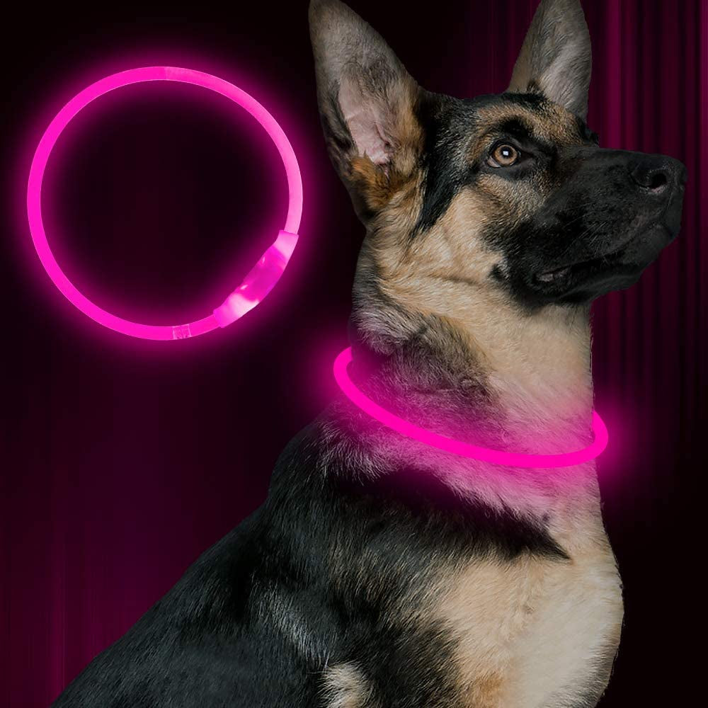 Light up Dog Leash