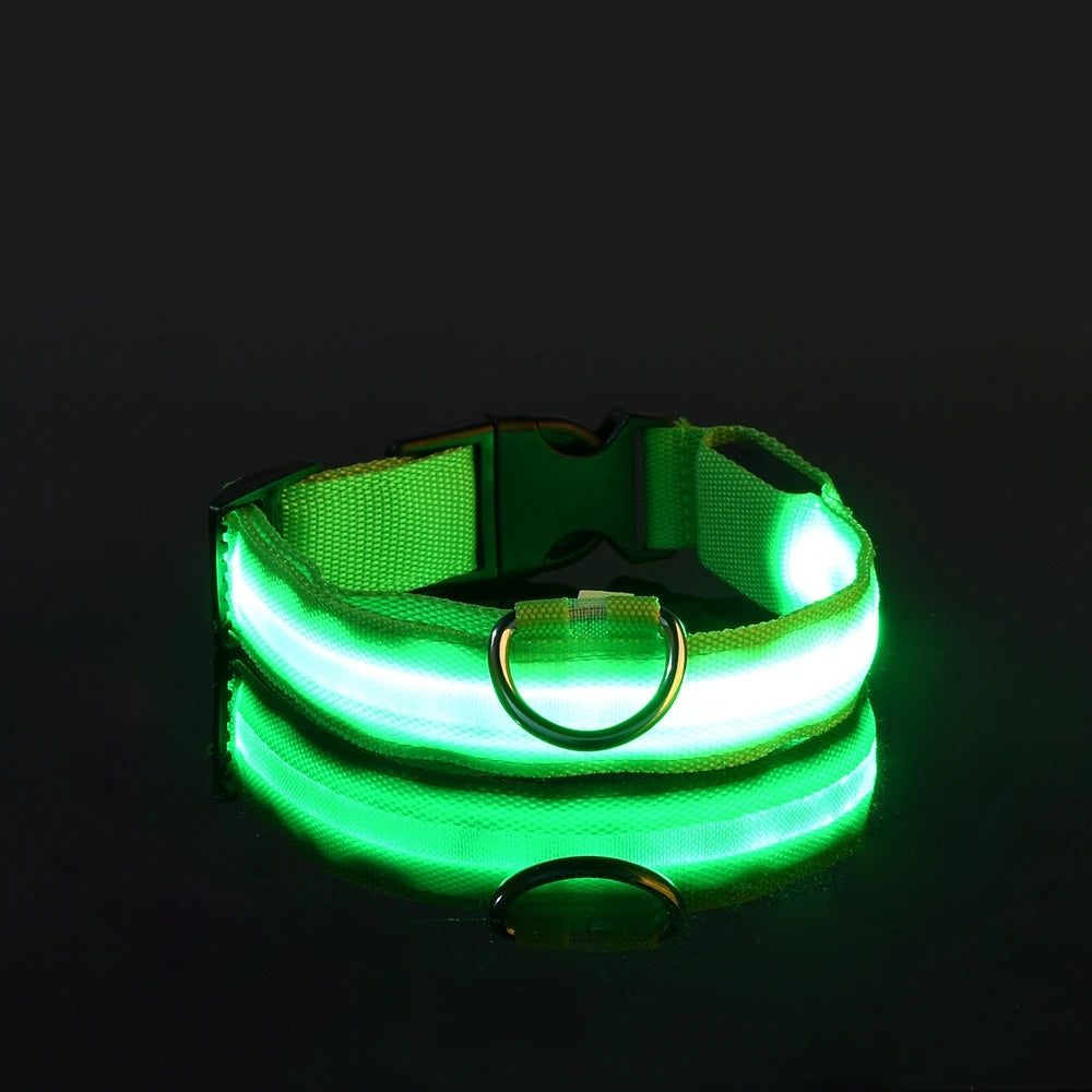 LED Luminous Dog Leash