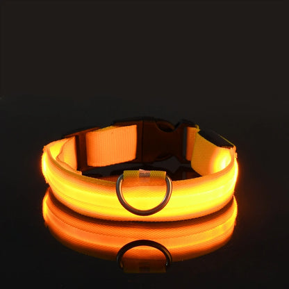 LED Luminous Dog Leash